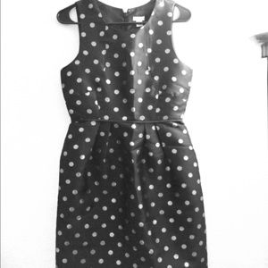🔴JCrew Dress Black with Silver Polka Dots